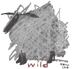 wildgutstrings sheep